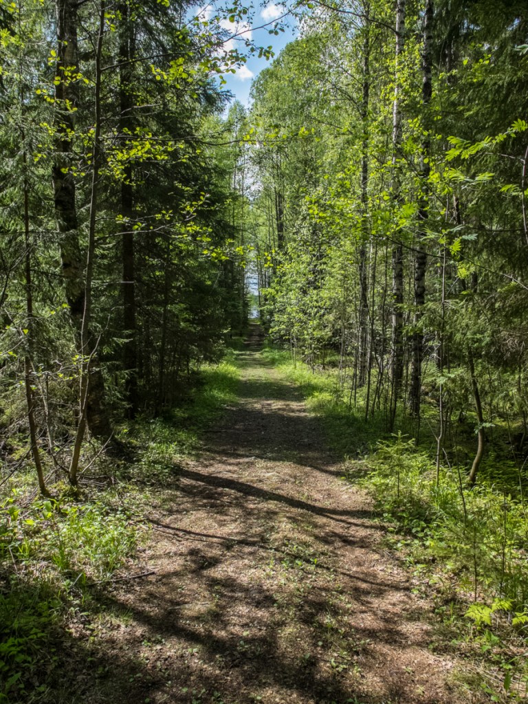 We can see the lake!