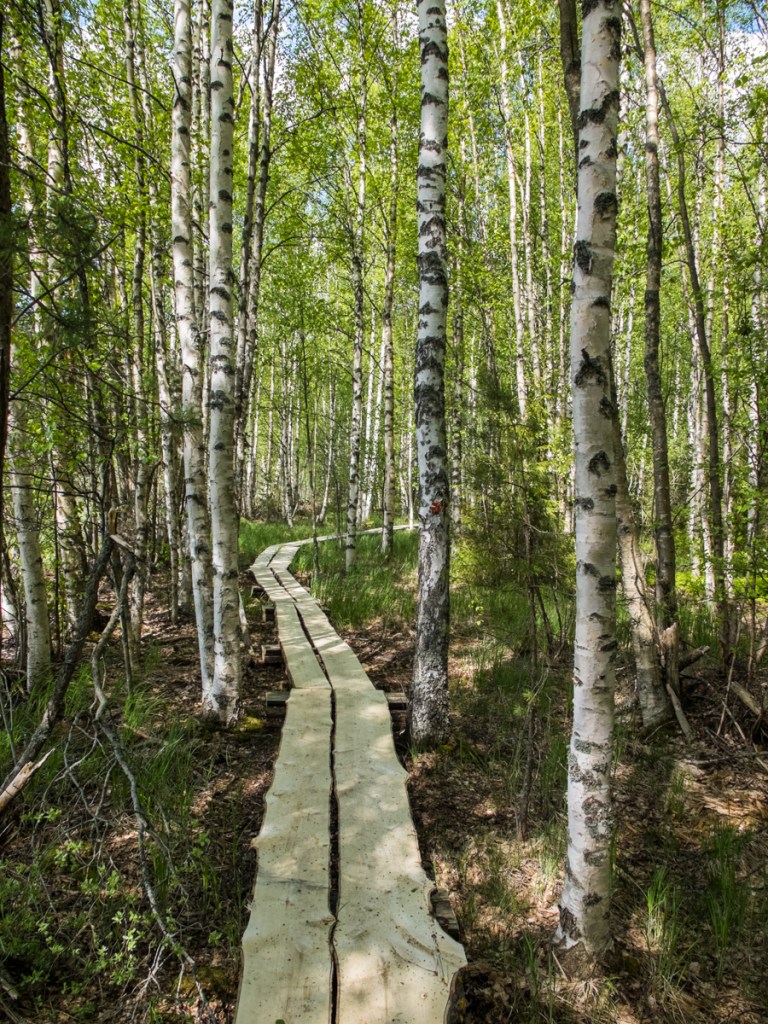 Wide log trails were nice 