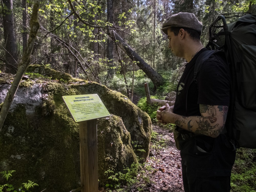 Information about fallen trees around us